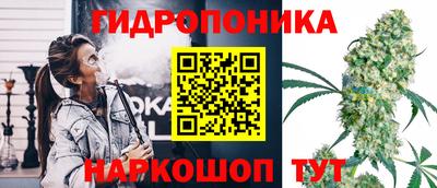 стафф Коммунар